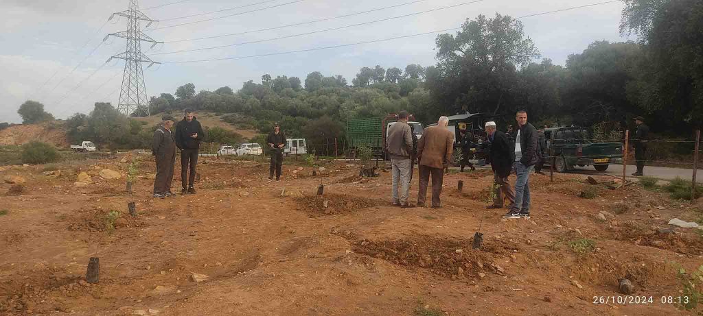 تشجير بطريق عين نفرة